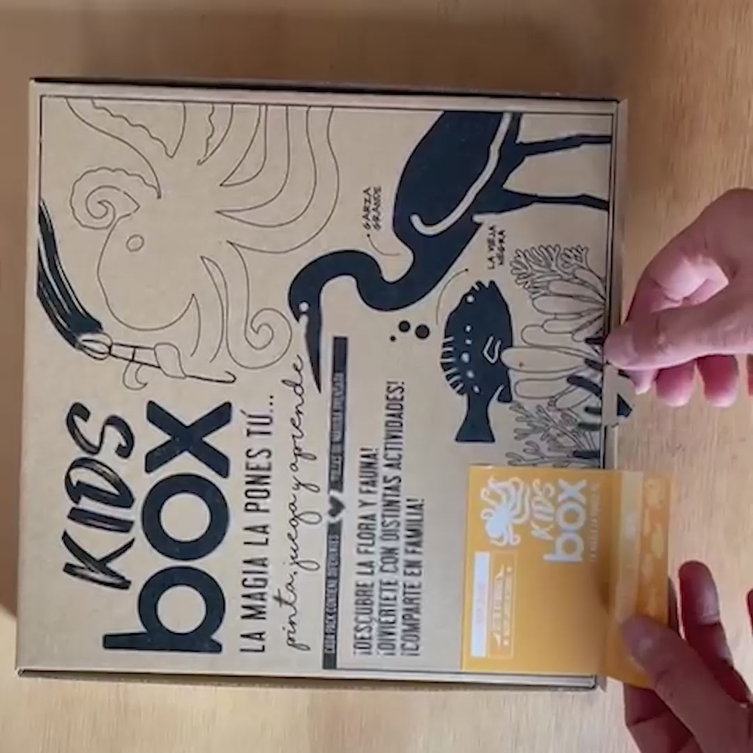 Box Peces Pulpo Video Unbox